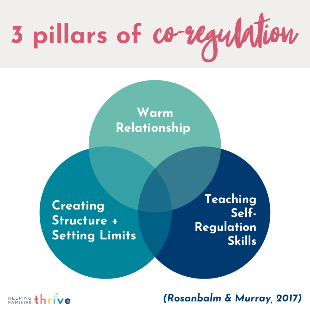 3 Pillars of Co-Regulation