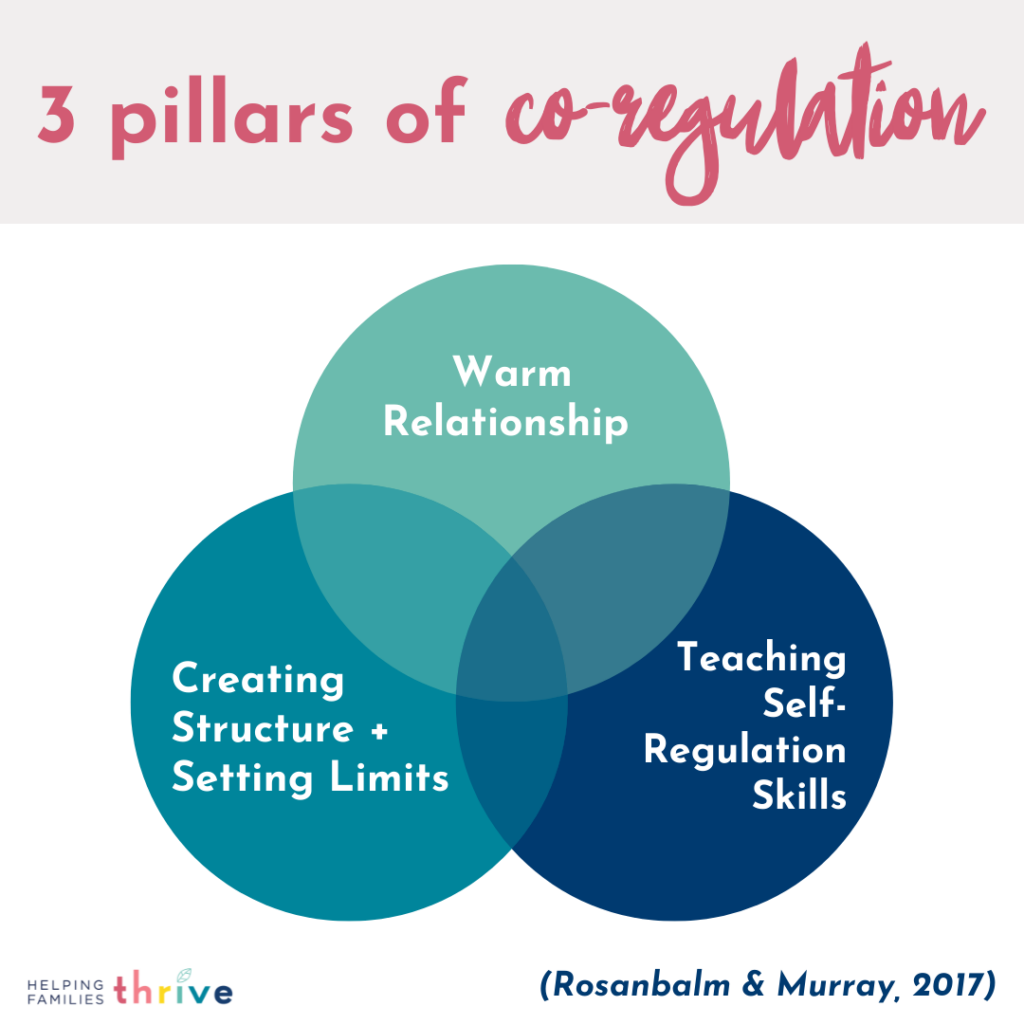 What Is Co-Regulation and What Does It Look Like in the Classroom? - Center  for Whole-Child Education (Turnaround for Children)