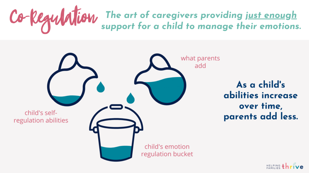 What Is Co-Regulation and What Does It Look Like in the Classroom? - Center  for Whole-Child Education (Turnaround for Children)