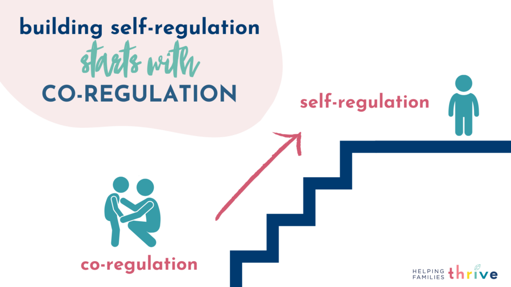 building self regulation with co-regulation